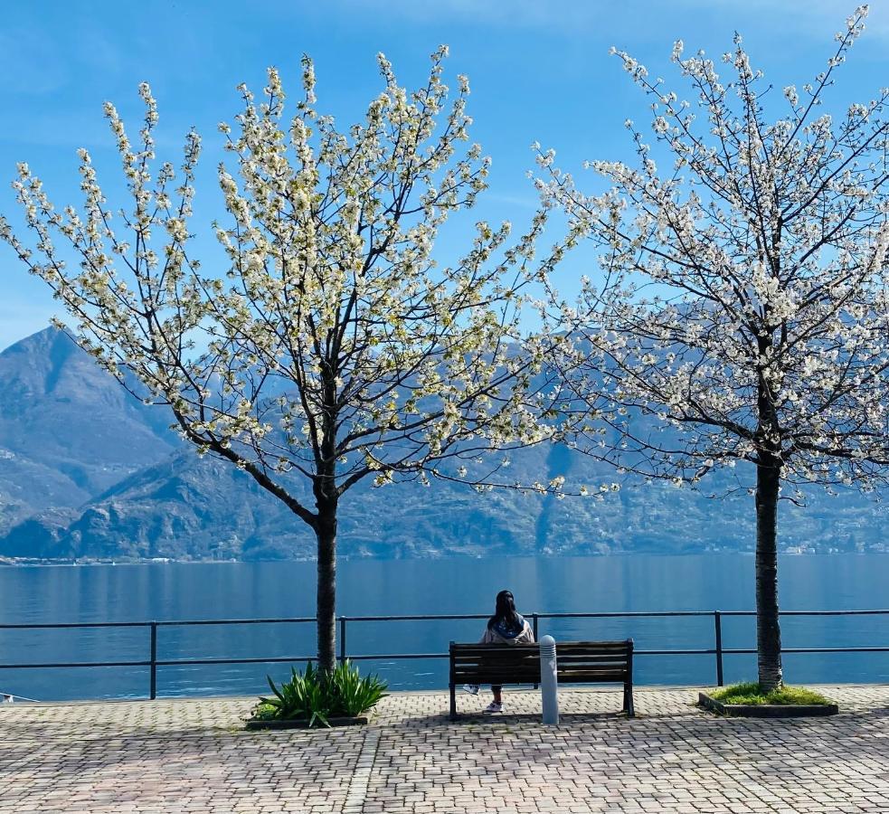 Brother'S Como Lake Suite Acquaseria 外观 照片